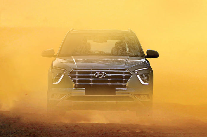 All Hail The New Lion King