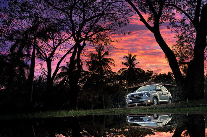 All Hail The New Lion King