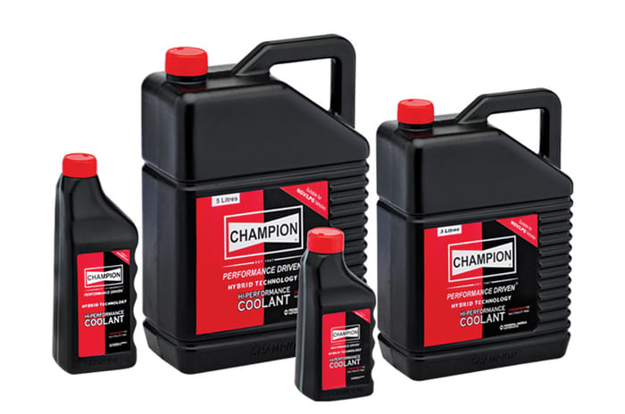 Champion: It began with a spark