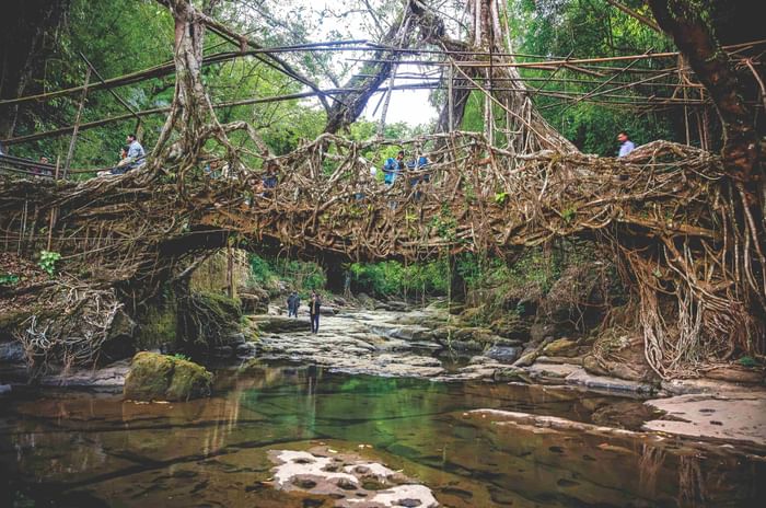 Northeastern Odyssey: An Epic Jeep Adventure