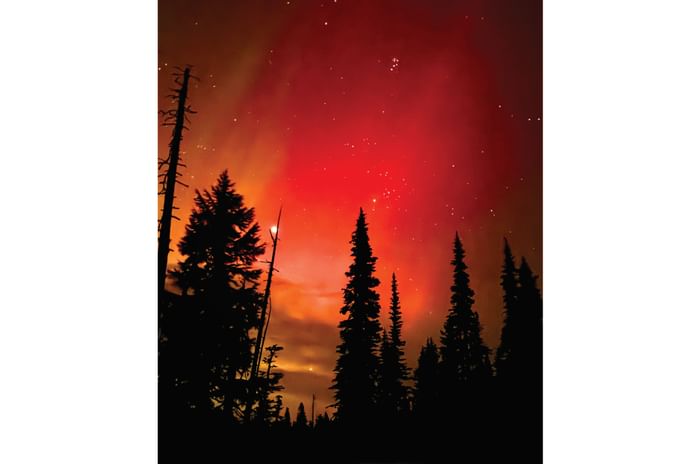 Northern Lights
