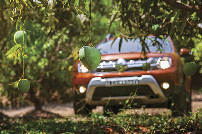Hometown Hero - Mango Run in a Renault Duster