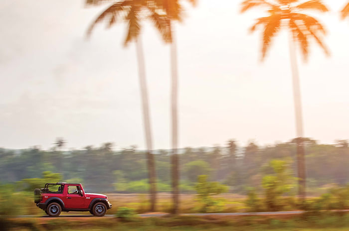 Special Feature: Thar Gazing