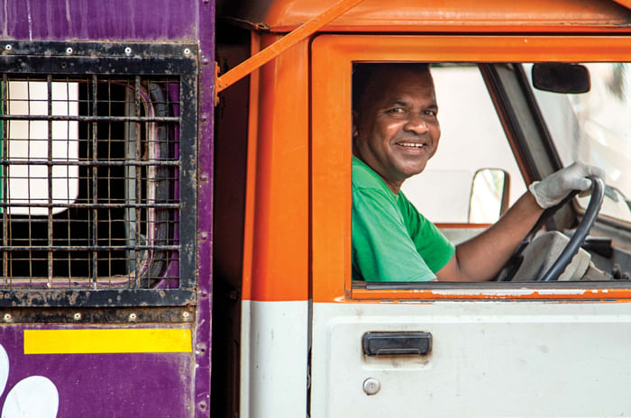 Hyundai Creta - Paws and effect