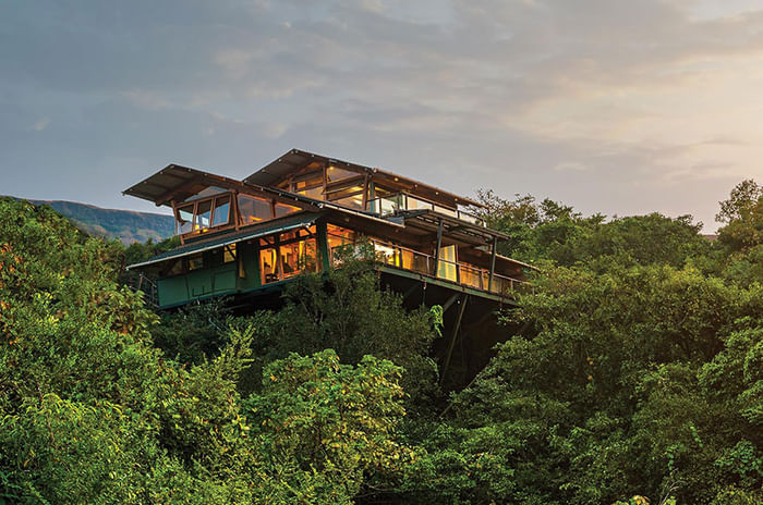 Special Feature: The Road To A Green Future Starts Here