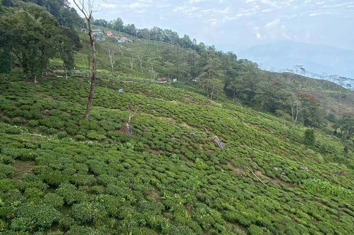 Honda Drive to Discover 12: Discovering North East India