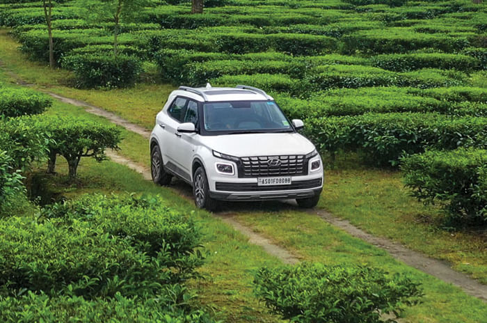 Bringing Worlds Together