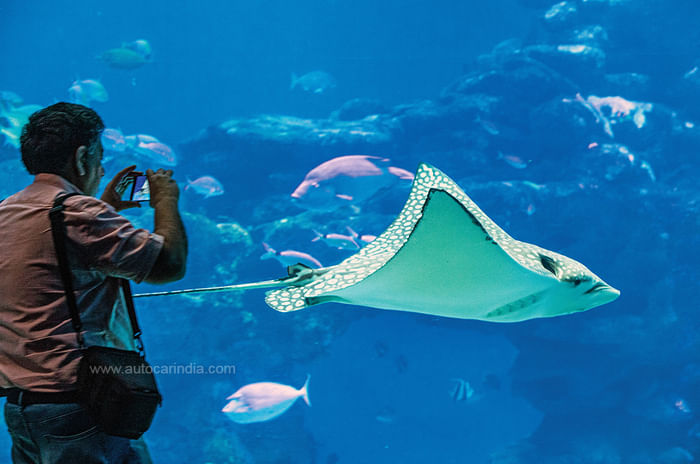 Feature: 2 Mercs, 3 seas, 7 days – a road trip across Israel