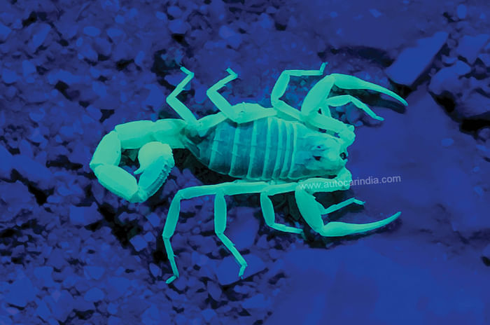 Feature: 2 Mercs, 3 seas, 7 days – a road trip across Israel