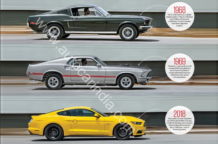 Ford Mustangs Ford Mustangs