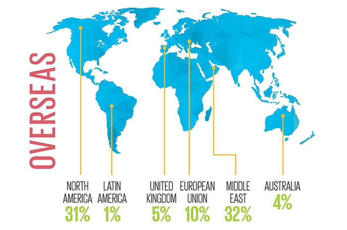 Analysis: Car Shopping Online