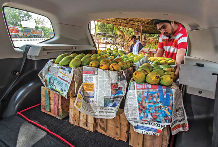 The Malihabad Express - Mango Run in a Renault Duster