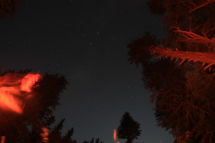 Out here in the perimeters, there are a million stars. Photo courtesy: Harsh Man Rai