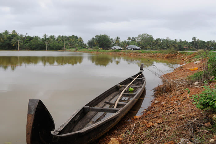 Audi Great India quattro Drive 3 photo gallery  