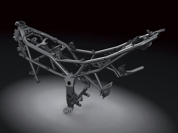 Kawasaki Ninja 250 RR Mono photo gallery