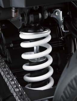 Kawasaki Ninja 250 RR Mono photo gallery