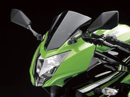 Kawasaki Ninja 250 RR Mono photo gallery
