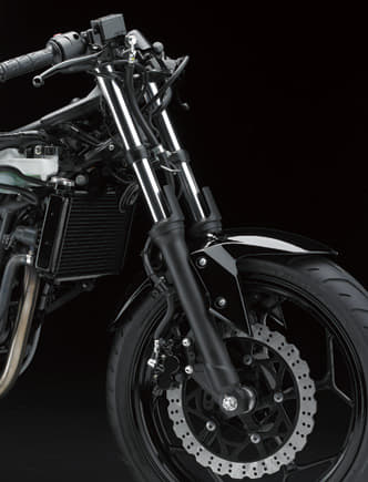 Kawasaki Ninja 250 RR Mono photo gallery