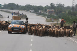 Mini Epic Drive photo gallery