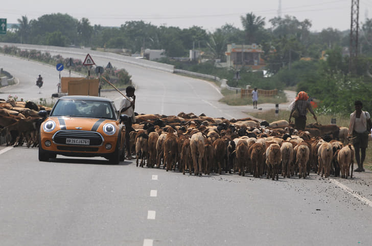 Mini Epic Drive photo gallery