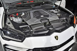 Lamborghini Urus Color White