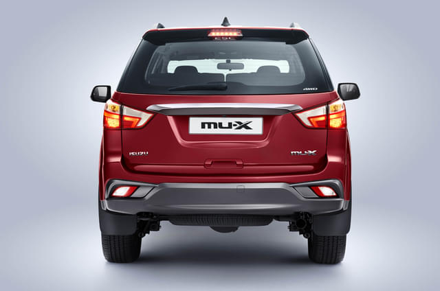 Rear View Image - 11302