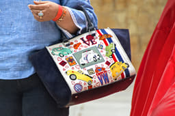 Zita Goenka&#8217;s Beetle handbag added colour to the proceedings.