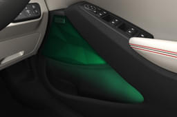 Kia Seltos Door Controls
