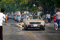 Mercedes Benz Classic Car Rally 2024 image gallery