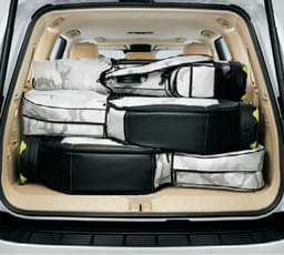 Toyota Land Cruiser Rear View