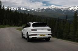 Bentley Bentayga Rear View