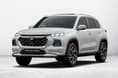 Grand Vitara Arctic White colour Grand Vitara Arctic White colour