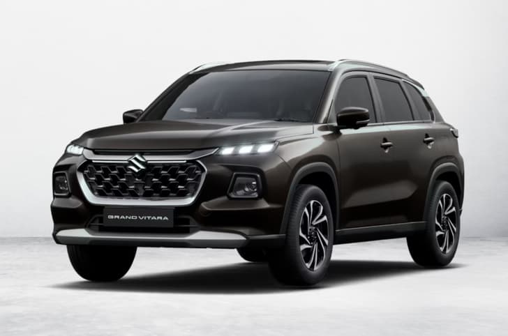 Grand Vitara Chestnut Brown colour