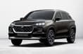 Grand Vitara Chestnut Brown colour Grand Vitara Chestnut Brown colour