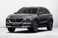 Grand Vitara Splendid Silver dual-tone colour Grand Vitara Splendid Silver dual-tone colour