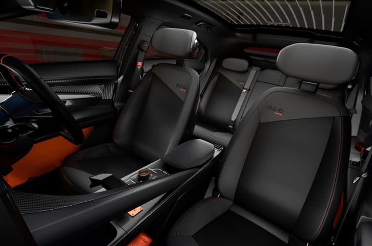 Mahindra BE 6 Formula E Edition seat belt