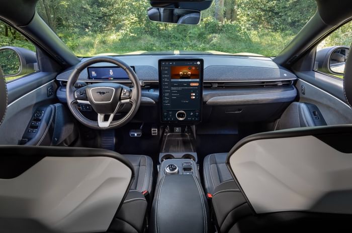 Ford Mustang Mach E Rally revealed