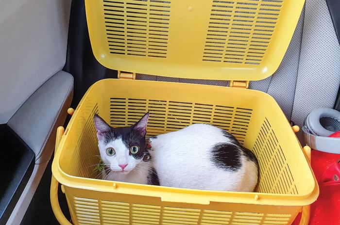 Hyundai Creta long term review, final report