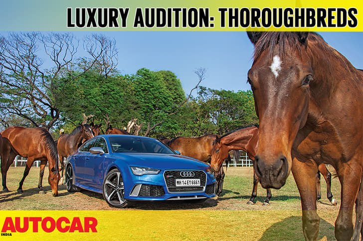 Luxury: Horsepower vs horse power video