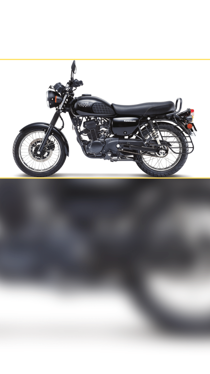 Kawasaki W175 Underpinnings