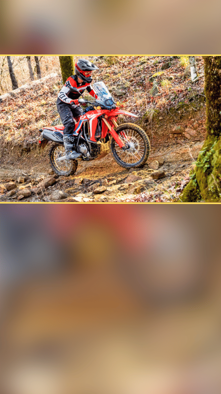 Honda CRF300L, Honda CRF300 Rally, Honda Sahara 300, Honda CB200X