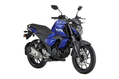 FZ FI